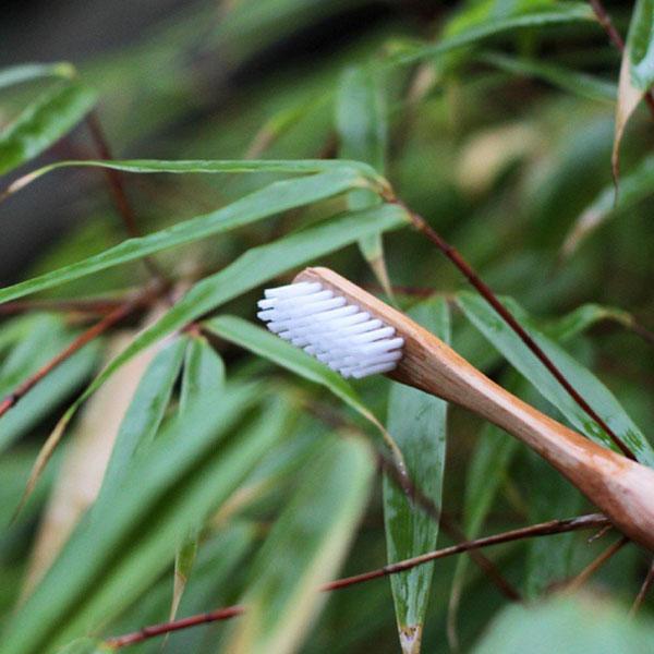 El cepillo de dientes de bambú Hydrophil verde está libre de BPA. 