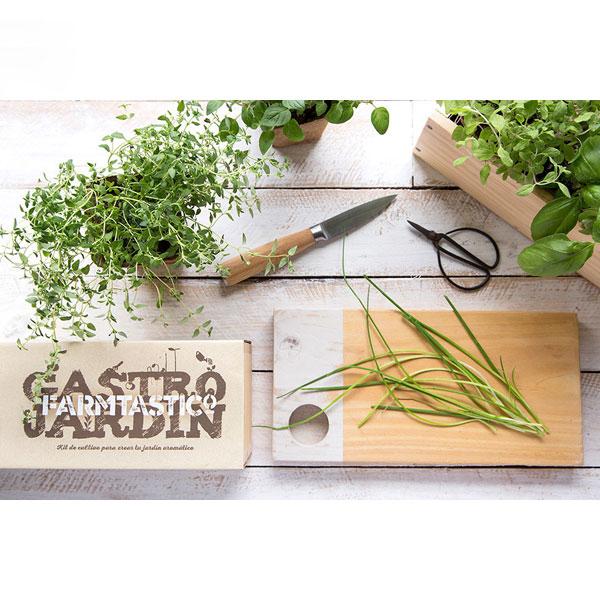 El Kit de siembra Gastrojardín es perfecto para tu cocina, tu oficina o cualquier rincón soleado de la casa