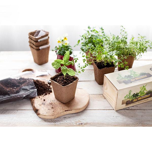 El Kit de siembra Gourmet Gastrojardín tiene todo lo necesario para cultivar tu propio jardín de orégano, tomillo, mejorana y albahaca. 